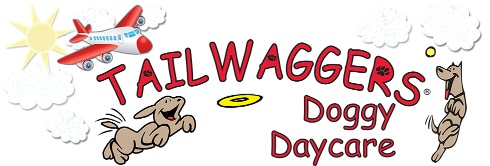 TailWaggers Doggy Daycare