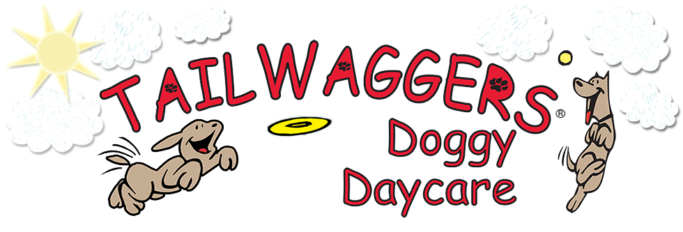 TailWaggers Doggy Daycare